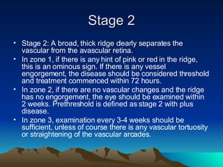 Vascular Ridge Rop ROP | PPT