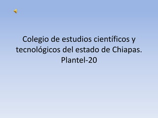 Colegio de estudios científicos y
tecnológicos del estado de Chiapas.
Plantel-20

 
