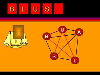 B L U S A S B L U 