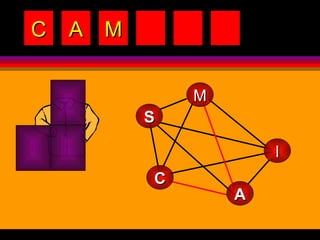 C A M M A S I C 
