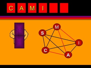 C A M I M A S I C 