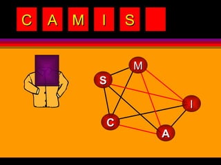 C A M I S M A S I C 