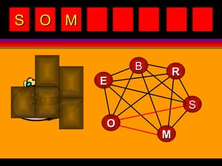 B R M E S O S O M 