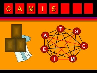 C A M I S T S M E I C A 