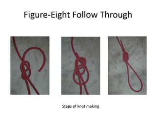 Figure-Eight Follow Through
Steps of knot making
 