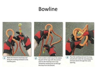 Bowline
 