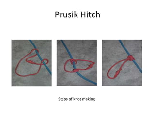 Prusik Hitch
Steps of knot making
 