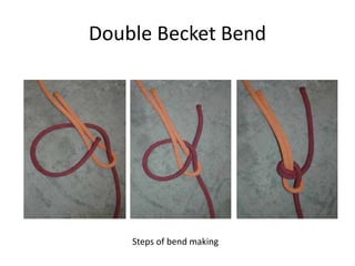 Double Becket Bend
Steps of bend making
 