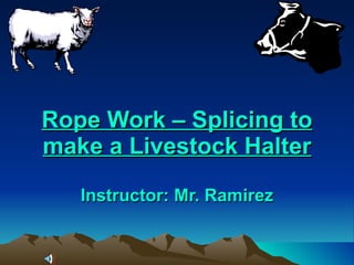 Rope Work – Splicing to make a Livestock Halter Instructor: Mr. Ramirez 