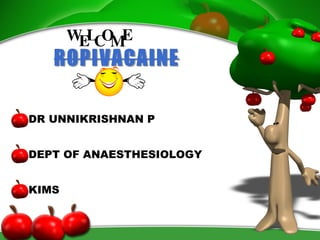  HYPERLINK quot;
http://depts.washington.edu/anesth/regional/Page1.htmlquot;
  quot;
_topquot;
 left0Ropivacaine The new long-acting amino-amide local anesthetic, ropivacaine, combines the anesthetic potency and long duration of action of bupivacaine with a toxicity profile intermediate between bupivacaine and lidocaine. The stereospecificity of s-ropivacaine decreases cardiotoxicity.The bupivacaine and ropivacaine molecules both have chiral centers (Figure). Commercial bupivacaine is a 50:50 racemic mixture of the S- and R-enantiomers. Because of its greater affinity for and dwell time at voltage-gated sodium channels, the R configuration confers greater cardiotoxicity to racemic bupivacaine.1 Compared to the S-enantiomer, R-bupivacaine binds three times more firmly to the sodium channel, and unbinds 4.4 times as slowly. R-bupivacaine is also more arrhythmogenic, and slows ventricular conduction 4.6 times as much as S-bupivacaine. Ropivacaine is manufactured as the pure S-enantiomer in order to take advantage of the decreased cardiotoxicity of the S-configuration. The decrease in cardiotoxicity due to S-ropivacaine's steroselectivity is the subject of a recent review.2 Pharmacokinetic parametersRopivacaine is 2-3 times less lipid soluble and has a smaller volume of distribution, greater clearance, and shorter elimination half-life than bupivacaine in humans.3 The two drugs have a similar pKa and plasma protein binding (Table).Ropivacaine undergoes hepatic biotransformation and renal clearance of the intact drug accounts for a minor proportion of total clearance. Peak plasma levels of ropivacaine following epidural of peripheral nerve block may rise twice as high as levels of bupivacaine, likely due to ropivacaine's decreased lipid solubility and volume of distribution.4 Ropivacaine is slightly less potent than bupivacaine.When used for spinal anesthesia, 0.75% ropivacaine produces less intense sensory and motor block than 0.5% bupivacaine.5 However, multiple clinical trials comparing the two local anesthetics in epidural and axillary block demonstrate similar potency of bupivacaine and ropivacaine with respect to the intensity of sensory anesthesia.6,7,8,9,10 Randomized double-blind clinical trials show that ropivacaine is equipotent to bupivacaine when used for lumbar epidural labor analgesia and C-section.4,11,12 ,13,14 Motor block with ropivacaine, however, may be delayed in onset, less intense, and shorter in duration compared with bupivacaine.6,15,16 Determination of the true anesthetic potency of ropivacaine relative to bupivacaine is important when interpreting studies on ropivacaine's toxicity, since toxicity usually parallels anesthetic potency.Epinephrine does not prolong the duration of ropivacaine block.The addition of epinephrine does not prolong the duration of ropivacaine in subclavian brachial plexus17, HYPERLINK quot;
http://depts.washington.edu/anesth/regional/hickey4.htmlquot;
  quot;
imagequot;
 18 or epidural19 block. Low concentrations of ropivaciane may produce clinically significant vasoconstriction, which is not increased further by the addition of epinephrine.Ropivacaine is indistinguishable from bupivacaine when used in obstetric anesthesia.When continuous infusions of 0.25% ropivacaine were compared with 0.25% bupivacaine in lumbar epidural labor analgesia in two randomized double-blind clinical trials, no difference was detected in between the two drugs in intensity, duration or incidence of motor block, onset and quality of sensory analgesia, number of instrumented deliveries, number of C-sections, or neonatal neurobehavioral scores at 24 hours.11, HYPERLINK quot;
http://depts.washington.edu/anesth/regional/eddleston.htmlquot;
  quot;
imagequot;
 12 Neonates in the ropivacaine group had higher neurobehavioral scores before 24 hours.11 Three randomized double-blinded clinical trials that compared 0.5% ropivacaine and 0.5% bupivacaine for C-section found no difference in sensory anesthesia, hemodynamic effects, Apgar scores, umbilical cord gases, or neonatal neurobehavioral scores.4,13,14 Maternal and neonatal free plasma concentrations of ropivacaine were higher than bupivacaine at time of delivery (0.09 mg/L vs 0.06 mg/L). The elimination half-life of ropivacaine was shorter than bupivacaine (5.2 vs 10.9 hours). Pregnancy decreases the protein binding of bupivacaine and increases its toxicity. Pregnancy also decreases the volume of distribution of ropivacaine, but is not associated with an increase its toxicity in animals.19, HYPERLINK quot;
http://depts.washington.edu/anesth/regional/santos.htmlquot;
  quot;
imagequot;
 20 This finding suggests that ropivacaine may offer an even greater advantage over bupivacaine regarding its toxicity in the setting of pregnancy. Ropivacaine has a smaller direct negative inotropic and arrhythmogenic effect compared with bupivacaine. A study which measured the effect of bupivacaine and ropivacaine on multiple electrophysiologic parameters in isolated Purkinje fiber-ventricular muscle preparations found that bupivacaine produced greater depression of cardiac excitability and conduction.21 Equivalent myocardial depression with ropivacaine was produced at concentrations twice that of bupivacaine. In addition, bupivacaine induced electrophysiological alterations which could make re-entrant type ventricular arrhythmias more likely. These findings were consistent with another study that examined the effect of ropivacaine and bupivacaine on isolated rabbit hearts.22 Similar myocardial depression with ropivacaine was produced at concentrations twice as great as bupivacine. Bupivacaine produced more severe arrhythmias (AV block and ventricular arrhythmias), and more rapid onset of myocardial depression. In a live pig model in which local anesthetics were directly infused into the left anterior descending coronary artery, the electrophysiologic toxicity ratio of bupivacaine to ropivacaine (determined by the dose of drug required to produce prolongation of the QRS interval) was 6.7: 15.23 These studies suggest that the direct myocardial toxicity of ropivacaine is about half that of bupivacaine. Animals tolerate higher doses of intravenous ropivacaine than bupivacaine. Ropivacaine and bupivacaine have been compared in animal studies which simulate accidental intravascular injections of local anesthetics during attempted regional block. Studies in sheep demonstrate that the dose required to produce seizures and cardiovascular collapse, and the mortality after administration of such doses, is less with ropivacaine.24 The plasma concentrations measurred during seizures or cardiac arrest are also greater with ropivacaine. The pattern of death in sheep (which with lidocaine is characterized by respiratory arrest followed by hypotension without cardiac arrhythmias, and with bupivacaine is characterized by the sudden onset of ventricular arrhythmias), shares characteristics of both lidocaine and bupivacaine, although cardiac arrhythmias are not necessarily the final mechanism of death. The incidence of arrhythmias and death is lower in animals given toxic doses of intravenous ropivacaine than bupivacaine. Unanesthetized dogs were subjected in a blinded fashion to rapid intravenous bolus administration of twice the previously determined convulsive dose of either ropivacaine or bupivacaine.25 All of the six animals receiving bupivacaine developed ventricular arrhythmias and five of these animals died. Ventricular arrhythmias developed in two of six animals given ropivacaine and one of these animals died. The incidence of ventricular arrhyhmias and death was significantly greater in the bupivacaine group. The study was then repeated in 12 more dogs, but this time resuscitation was attempted by the intravenous adminstration of thiamylal, endotracheal intubation, and ventilation with oxygen when seizures occurred.26 Two dogs in the bupivacaine group died despite attempted resuscitation with epinephrine, closed chest cardiac massage, electrical cardioversion and adminstration of bretylium. Only one dog in the ropivacaine group required treatment of ventricular arrhythmias, and all dogs in the ropivacaine group survived. The difference between the ropivacaine and bupivacaine groups in survival was not significant. The central nervous system toxicity of ropivacaine in humans is proportional to its anesthetic potency. In studies which subjected volunteers to continuous intravenous infusions of ropivacine and bupivacaine until the onset of CNS symptoms, volunteers tolerated a 25% greater total dose of ropivacaine than bupivacine, and plasma levels of ropivacaine were greater at onset of symptoms.27 This difference in dose tolerated by subjects is consistent with the reported anesthetic potency ratio of ropivacaine to bupivacaine. Conclusions Ropivacaine is slightly less potent than bupivacaine, but multiple studies show that it can provide adequate surgical anesthesia when used in similar concentrations. Ropivacaine is half as potent as bupivacaine in its direct negative inotropic effect and slowing of ventricular conduction. A potential for sudden ventricular arrhythmias still exists with systemic ropivacaine toxicity. Any slight advantage ropivacaine has over bupivacaine may be eliminated if higher concentrations of ropivacaine are used. Since it may provide greater differentiation of sensory and motor block at low concentrations and pregnancy does not increase its toxicity, ropivacaine may be a drug well-suited for use in epidural labor analgesia . REFERENCESHOME<br />