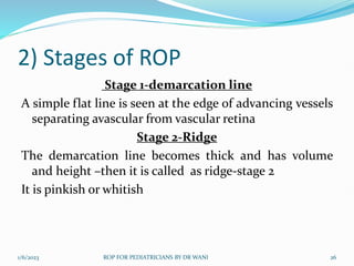 Vascular Ridge Rop RETINOPATHY OF PREMATURITY FOR PEDIATRICIANS | PPTX