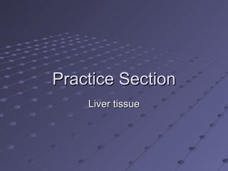 Practice Section Liver tissue 