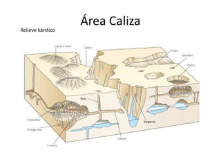 Área CalizaRelieve kárstico
 