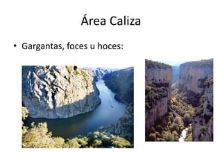 Área Caliza
• Gargantas, foces u hoces:
 