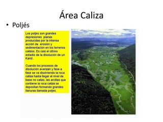 Área Caliza
• Poljés
 