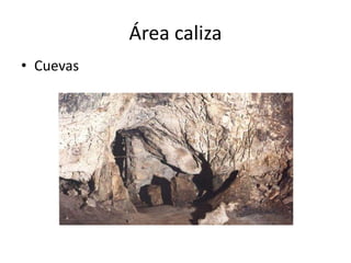 Área caliza
• Cuevas
 