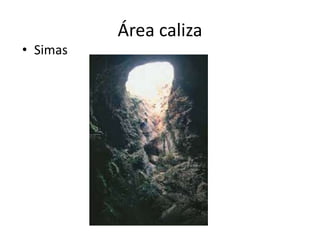 Área caliza
• Simas
 