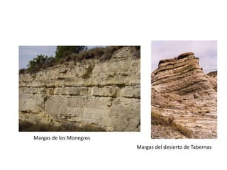 Margas de los Monegros
Margas del desierto de Tabernas
 