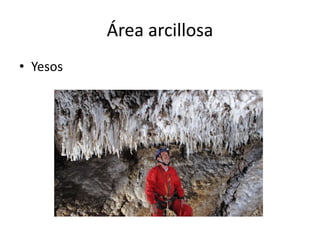 Área arcillosa
• Yesos
 
