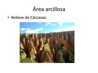 Área arcillosa
• Relieve de Cárcavas:
 