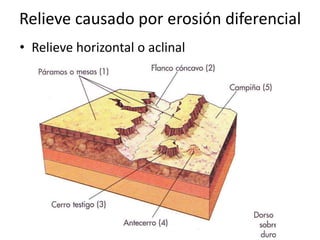 Relieve causado por erosión diferencial
• Relieve horizontal o aclinal
 