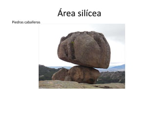 Área silícea
Piedras caballeras
 