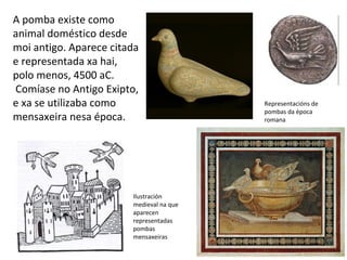 A pomba existe como
animal doméstico desde
moi antigo. Aparece citada
e representada xa hai,
polo menos, 4500 aC.
Comíase no Antigo Exipto,
e xa se utilizaba como
mensaxeira nesa época.
Representacións de
pombas da época
romana
Ilustración
medieval na que
aparecen
representadas
pombas
mensaxeiras
 