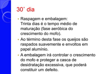 30˚ diaRaspagem e embalagem:Trinta dias é o tempo médio de maturação (fase aeróbica do crescimento do mofo). Ao término desta fase os queijos são raspados suavemente e envoltos em papel alumínio. A embalagem irá controlar o crescimento do mofo e proteger a casca de desidratação excessiva, que poderá constituir um defeito. 