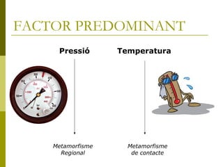 FACTOR PREDOMINANT
     Pressió       Temperatura




    Metamorfisme     Metamorfisme
      Regional        de contacte
 