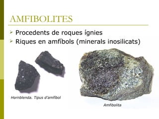 AMFIBOLITES
   Procedents de roques ígnies
   Riques en amfíbols (minerals inosilicats)




Hornblenda. Tipus d’amfíbol

                                Amfibolita
 