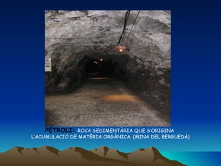 PETROLI:  ROCA SEDIMENTÀRIA QUE S’ORIGINA  L’ACUMULACIÓ DE MATÈRIA ORGÀNICA. (MINA DEL BERGUEDÀ) 