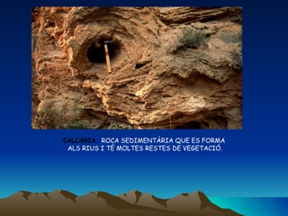 CALCÀRIA :   ROCA SEDIMENTÀRIA QUE ES FORMA ALS RIUS I TÉ MOLTES RESTES DE VEGETACIÓ. 