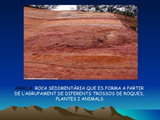 ARGILA :  ROCA SEDIMENTÀRIA QUE ES FORMA A PARTIR  DE L’AGRUPAMENT DE DIFERENTS TROSSOS DE ROQUES,  PLANTES I ANIMALS . 