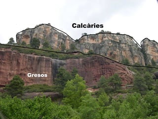 Calcàries
Gresos
 
