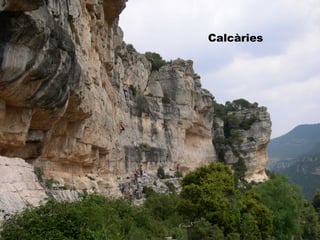 Calcàries
 