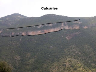 Calcàries
 