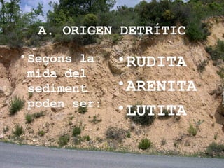 A. ORIGEN DETRÍTIC
•Segons la
mida del
sediment
poden ser:
•RUDITA
•ARENITA
•LUTITA
 