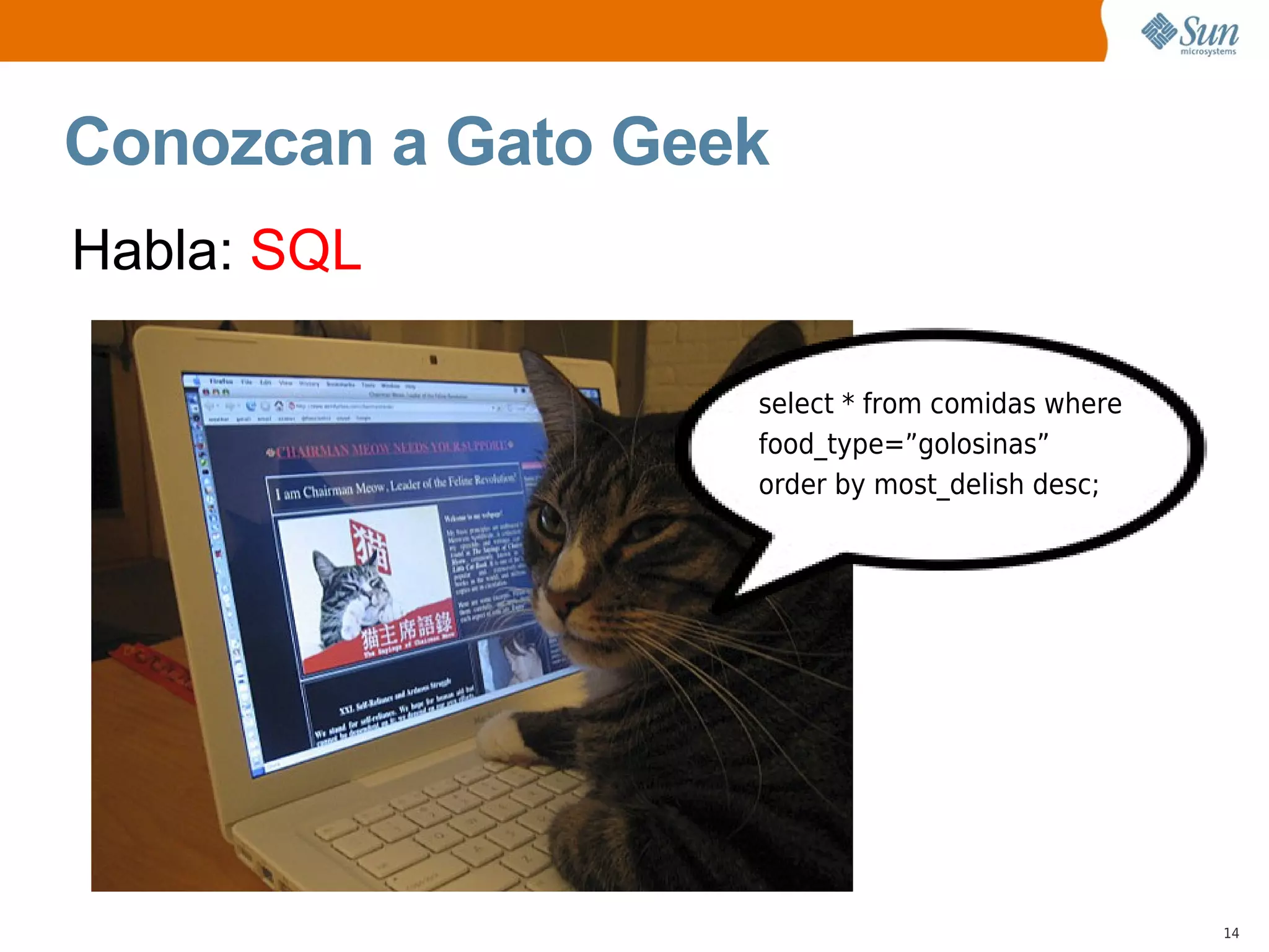 Ruby on Rails en NetBeans 6.1