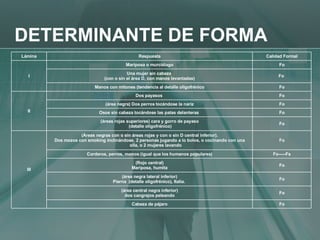 DETERMINANTE DE FORMA Fo Cabeza de pájaro Fo (área central negra inferior) dos cangrejos peleando Fo (área negra lateral inferior) Pierna  (detalle oligofrénico), Italia.  Fo (Rojo central) Mariposa, humita Fo-----Fs Corderos, perros, monos (igual que los humanos populares) Fo (Áreas negras con o sin áreas rojas y con o sin D central inferior). Dos mozos con smoking inclinándose, 2 personas jugando a lo bolos, o cocinando con una olla, o 2 mujeres lavando III Fo (áreas rojas superiores) cara y gorro de payaso (detalle oligofrénico) Fo Osos sin cabeza tocándose las patas delanteras  Fo (área negra) Dos perros tocándose la nariz Fo Dos payasos  II Fo Manos con mitones (tendencia al detalle oligofrénico Fo  Una mujer sin cabeza  (con o sin el área D, con manos levantadas) Fo Mariposa o murciélago I Calidad Formal Respuesta Lámina 