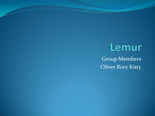 Group Members
Oliver Rory Kitty
 