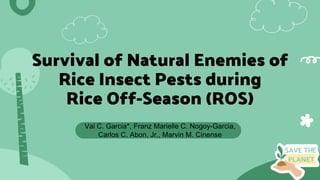 Val C. Garcia*, Franz Marielle C. Nogoy-Garcia,
Carlos C. Abon, Jr., Marvin M. Cinense
Survival of Natural Enemies of
Rice Insect Pests during
Rice Off-Season (ROS)
 