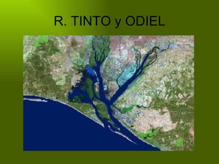 R. TINTO y ODIEL 