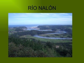 RÍO NALÓN 
