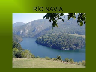 RÍO NAVIA 