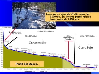 Perfil del Duero. Nace en los picos de Urbión sobre los 2100mts. En invierno puede helarse hasta cotas de 1300 mts. Curso medio Cabecera Curso bajo 