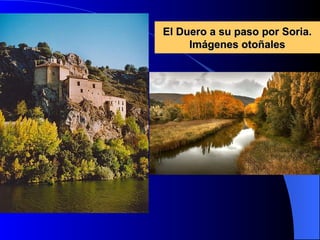 El Duero a su paso por Soria. Imágenes otoñales 