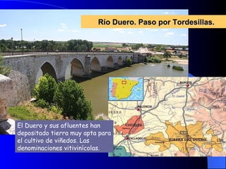 Río Duero. Paso por Tordesillas. El Duero y sus afluentes han depositado tierra muy apta para el cultivo de viñedos. Las denominaciones vitivinícolas.  