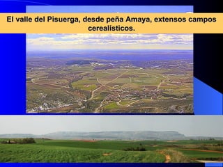 El valle del Pisuerga, desde peña Amaya, extensos campos cerealísticos. 