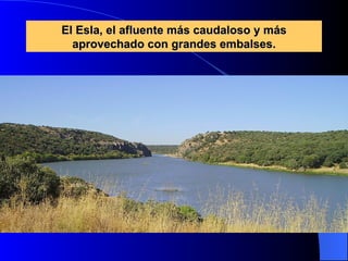 El Esla, el afluente más caudaloso y más aprovechado con grandes embalses. 