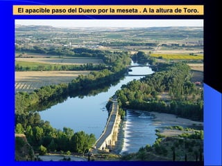 El apacible paso del Duero por la meseta . A la altura de Toro. 